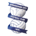 Logo Birmingham City