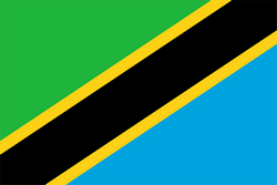 Logo Tanzania Women