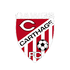 Logo Carthage