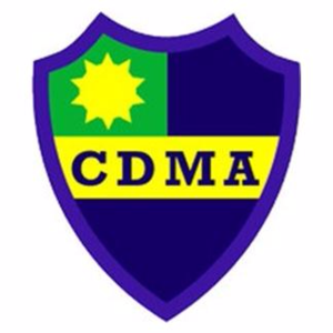 Logo Leandro N Alem