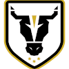 Logo Bulls Academy