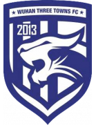 Logo Wuhan Three Towns B