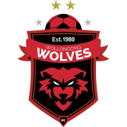 Logo Wollongong Wolves