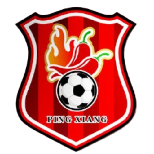 Pingxiang Team