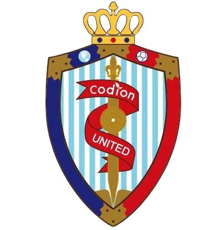 Logo Haimen Codion