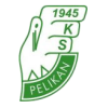 Pelikan Lowicz
